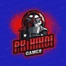 PK HINDI GAMER