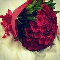 Ibrahim Nfady
