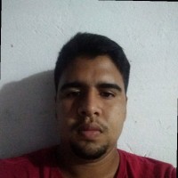 João Pedro Alves correia