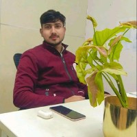 Vikhyat Raghav