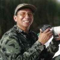 Pedro Allasi