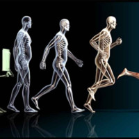 Physiotherapy And Rehabilitation