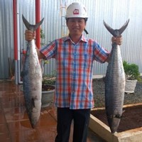 Trinh Huynh Chau