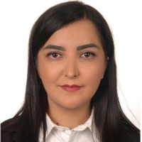 Shadi Sajjadi