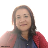 Lisbeth Castillo