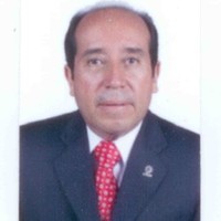 C.P.C. LUIS MANUEL CANO MELESIO