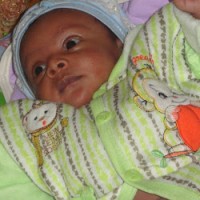 Tadesse Getachew