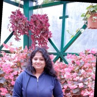 N Snehankita