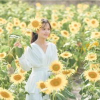Julie Phan