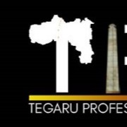 Tegaru Professionals Network