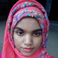 Designer_ luva begum