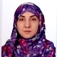 Mehwish Adhi