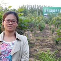 王 Linda 王彩艳