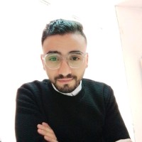 elsayed afifi