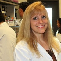 Karen Vasquez