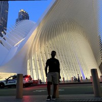 Adil Ibrahim