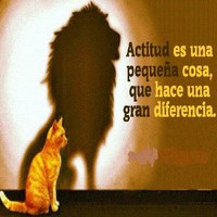 Erickson Vargas