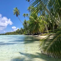 ELISABETH MESSONNIER