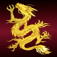 Rising Dragon Tattoos NYC