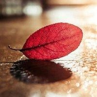 程无忧