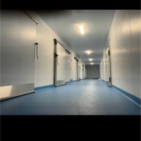 Dan mcgrath Daniels coldstore construction