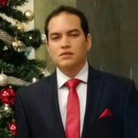 Erick G. Villalobos Espitia