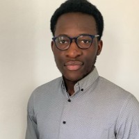 Moïse Ndoumi