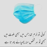 Seyyid Abid