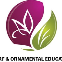 Elizabeth Bucher-Curry