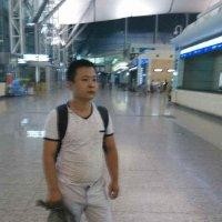 高利华