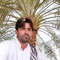 Saeed Ullah