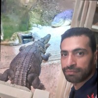 Ayman Attia
