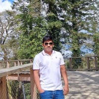 Dinesh Reddy