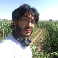 Ismail Kök