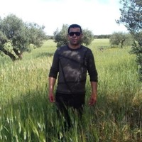 HAMDI Laroussi