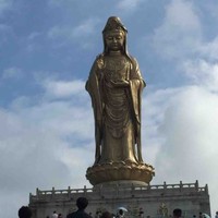 朱秀霞