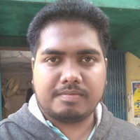 Koushik Ray