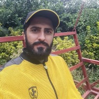 Javad Gholizadeh