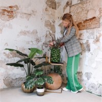 Mirjam Van Boven