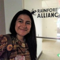 Ana Victoria Mansilla García