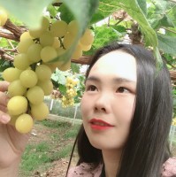 陈丽平