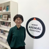 Yu Zheng