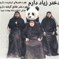 سیده پاندا آزادفلاح