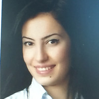 Duygu Holat