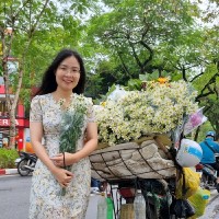 Mong-Thi Phan-Nguyen