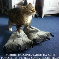 Руслан Маевский