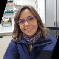 María José Pérez Andrés