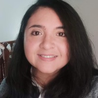 Gleici G. Ferreira