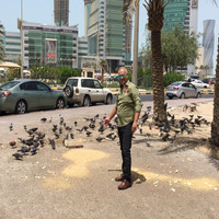 Mohammed Al Safadi