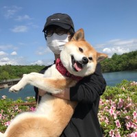 大西健介